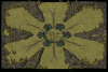 Alien base